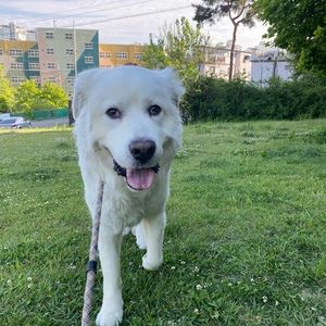 Meet your Posher, Dana